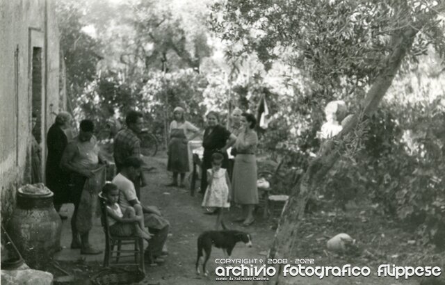 vendemmia-1-Cattafi-1950